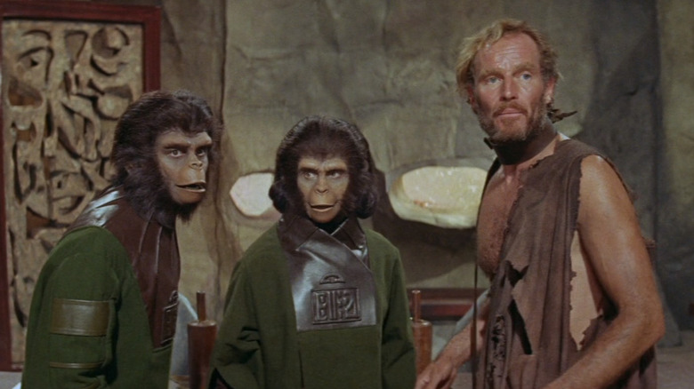 The apes hold a hearing