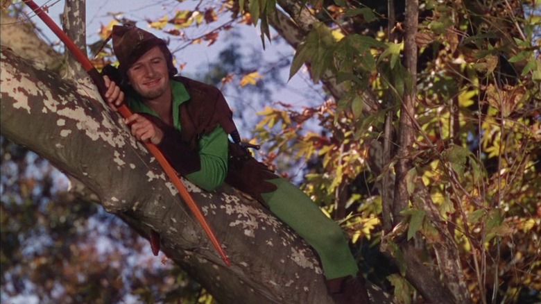 Robin Hood laying in tree