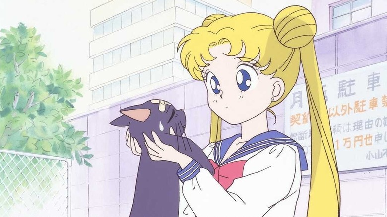 Usagi holding a cat