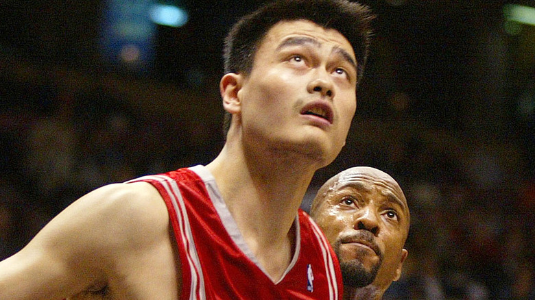 Yao Ming in 2003