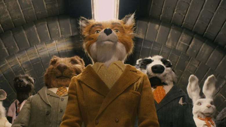 Mr. Fox walks