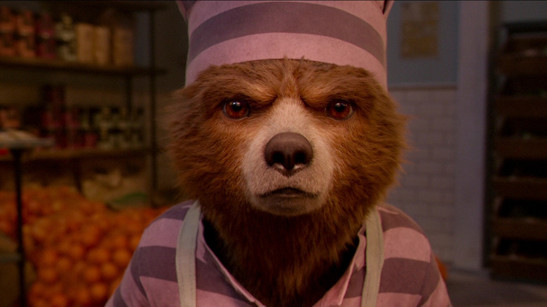 Paddington the stare