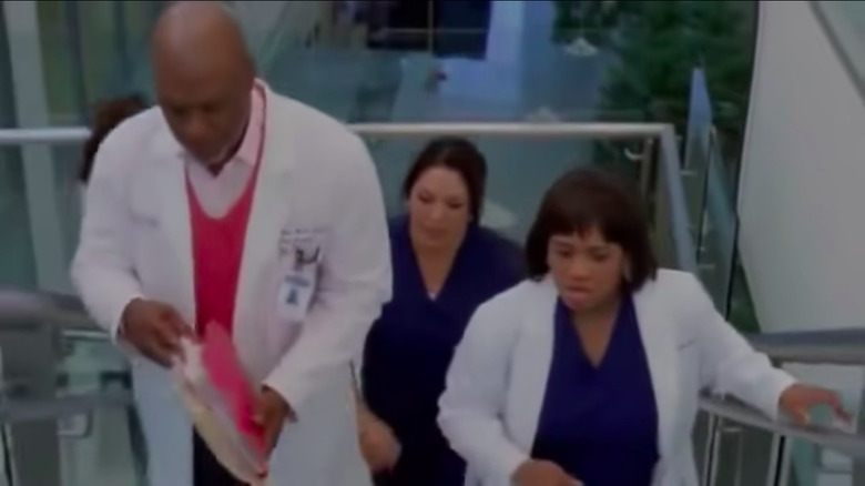 Webber, Callie, and Bailey walking up stairs