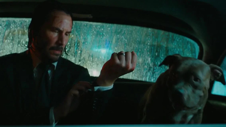 John Wick in cab with dog