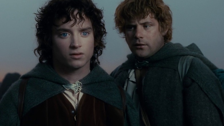 Frodo Baggins and Sam Gamgee stand together