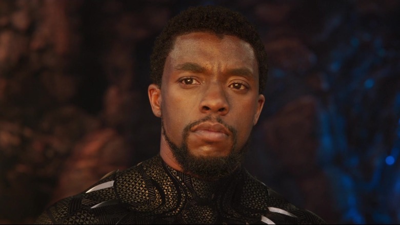 T'Challa looking into sunset