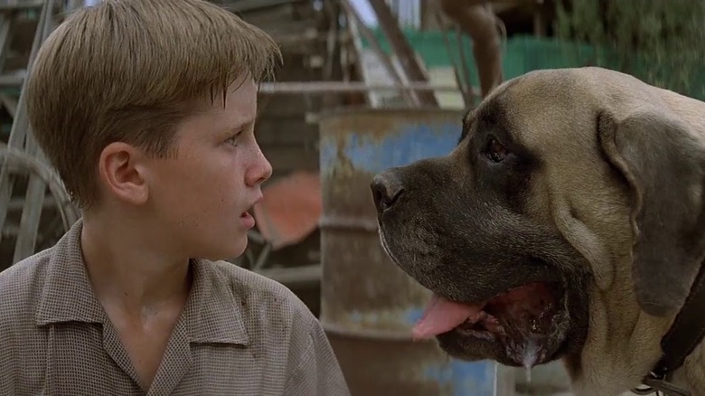 Sandlot dog