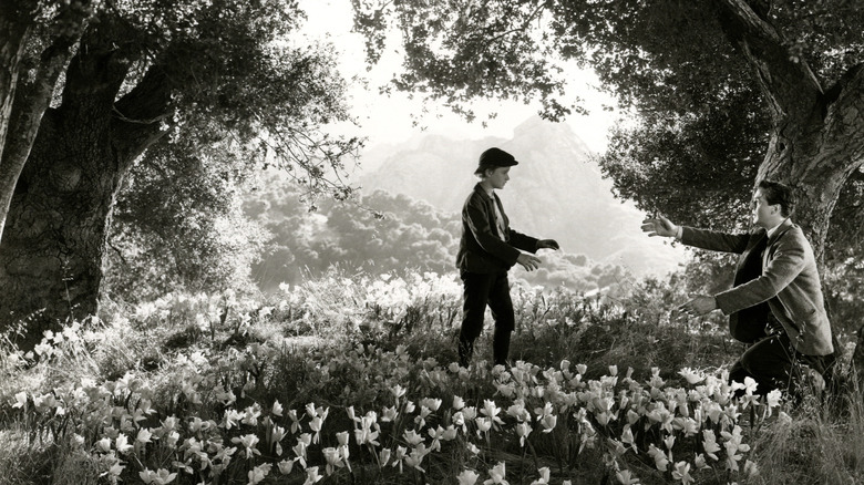 a father and son walk through flowers