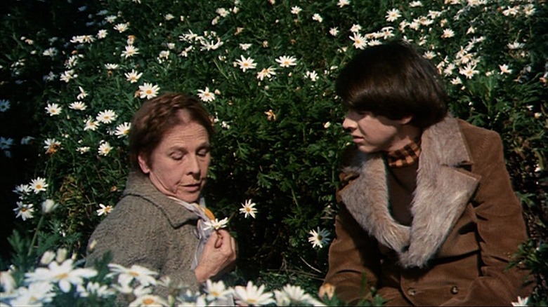 Harold watching Maude pick flowers