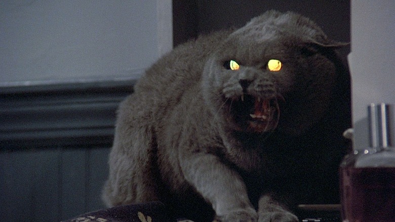 Pet Sematary cat snarling