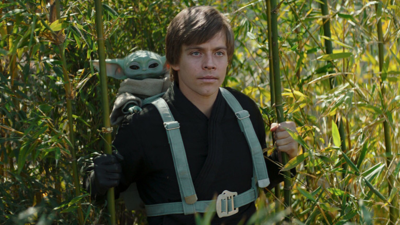 Luke Skywalker carrying Grogu