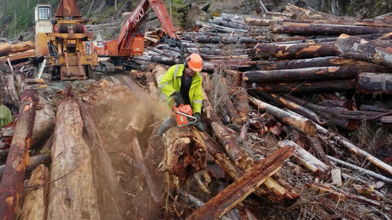 Wenstob sawing logs