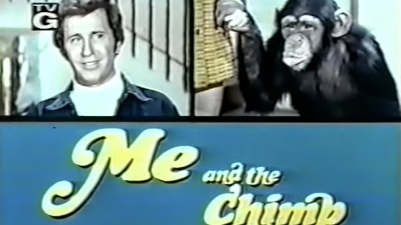 Title card for Me and the Chimp