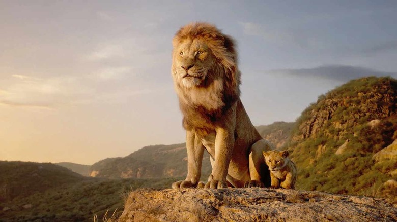 Mufasa and Simba on mountaintop