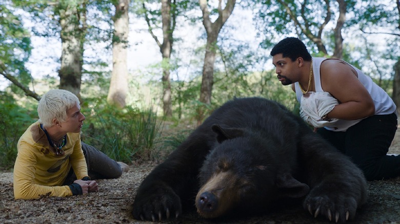 Bear collapsed on floor