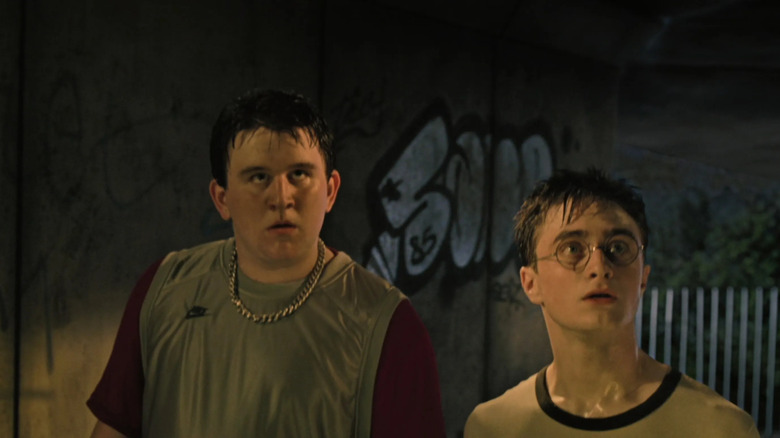 Dudley and Harry looking at dementor