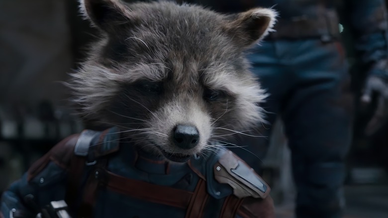 Rocket looks sad