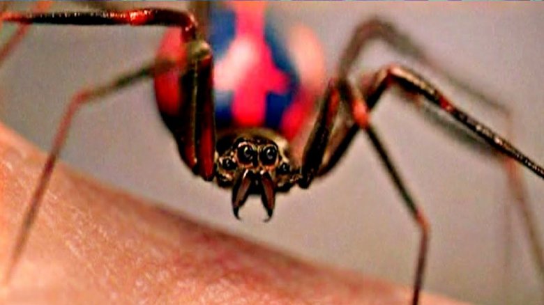 The spider that bit Peter Parker in Sam Raimi's Spider-Man