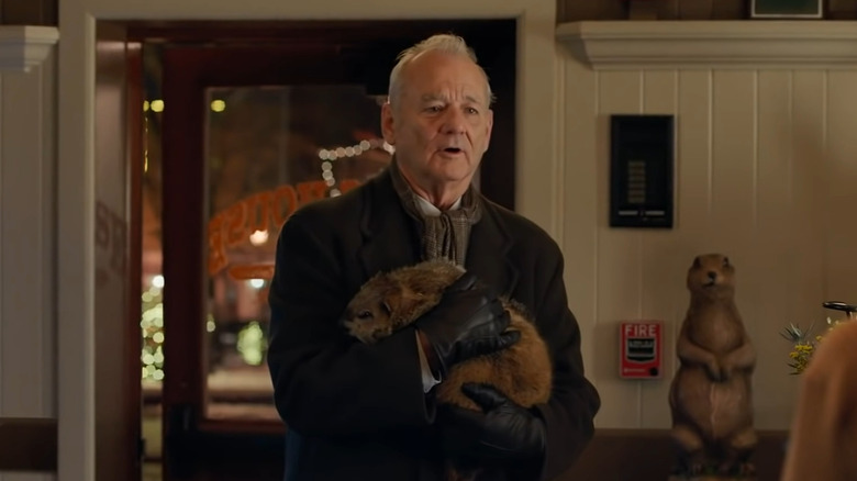 Bill Murray holding a groundhog