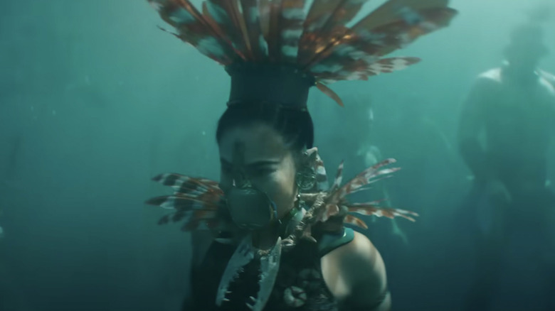 Ramonda underwater 