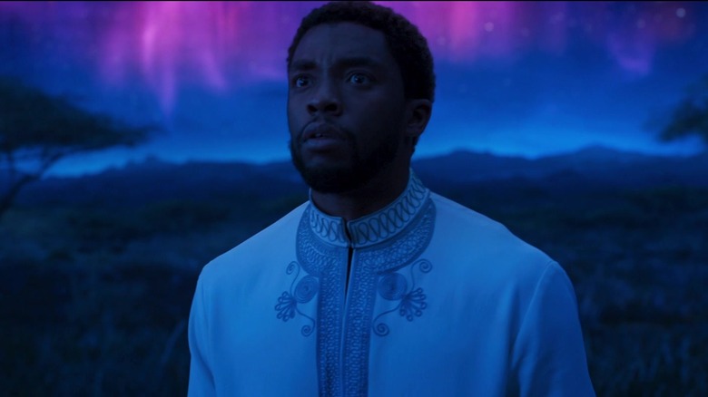 Black Panther standing in the spiritual plane