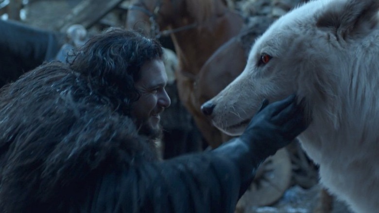 Jon Snow and the direwolf Ghost