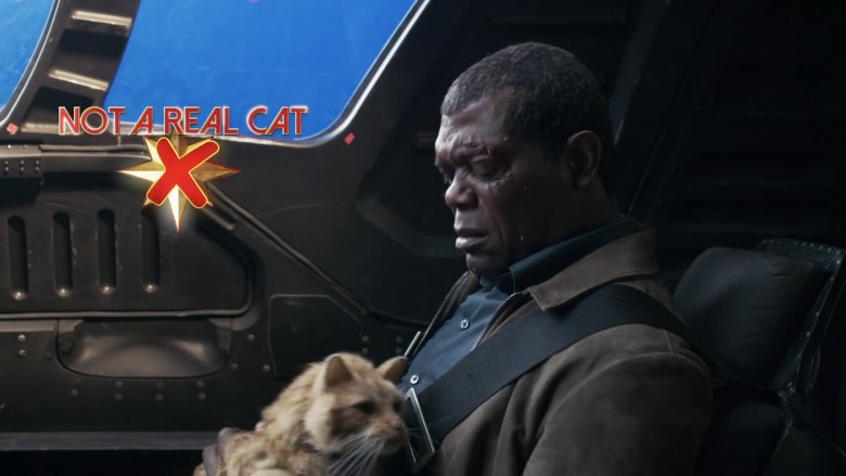 Samuel L. Jackson and fake Goose on the Captain Marvel set