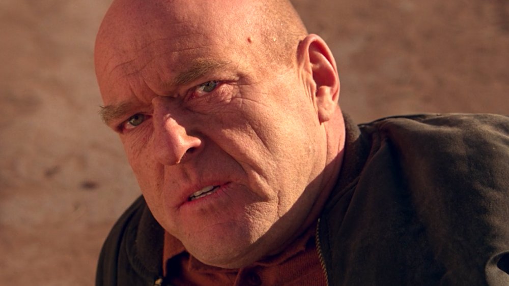 Dean Norris in Breaking Bad