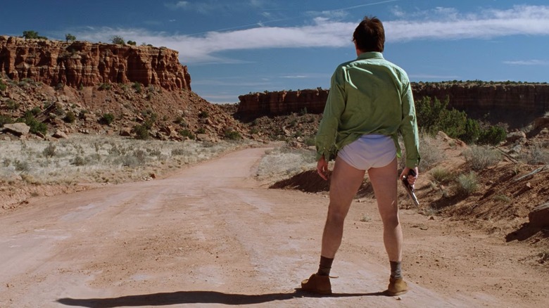 Walter White standing in the road in his underwear