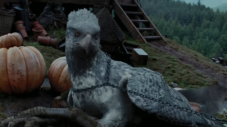 Buckbeak in chains