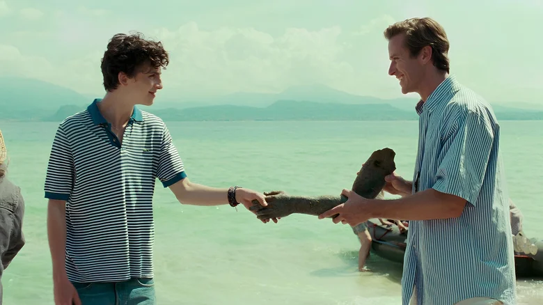 call me by your name's peach scene is deeper than you think