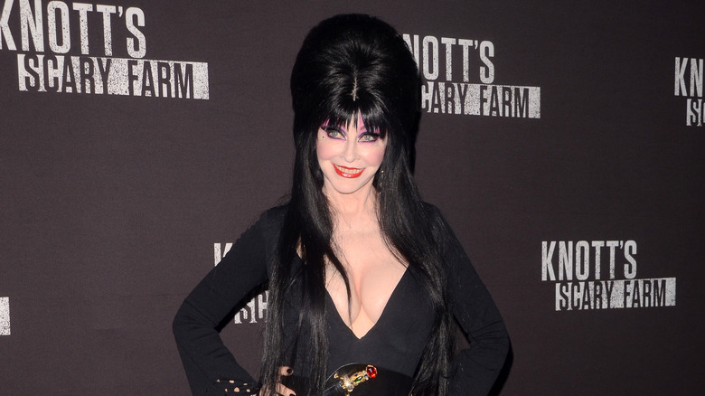 Elvira, Mistress of the Dark