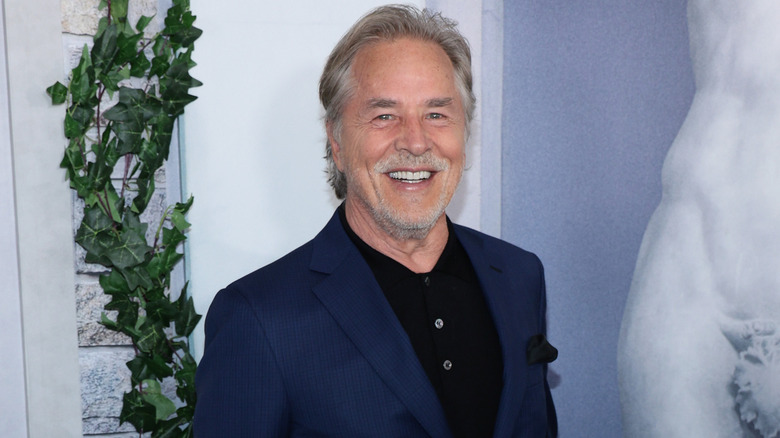 Don Johnson on the red carpet