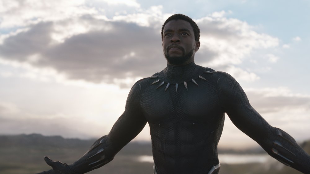 Chadwick Boseman as Black Panther in Marvel's Black Panther