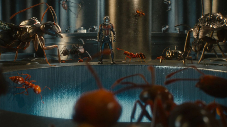 Ant-Man surrounded by ants