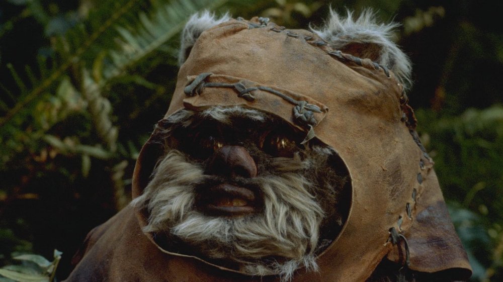 Wicket in Return of the Jedi