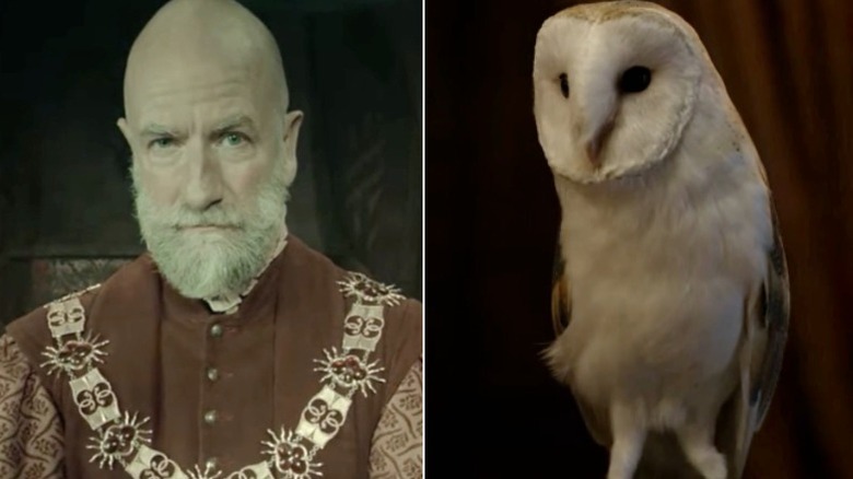 Split of Graham McTavish and barn owl