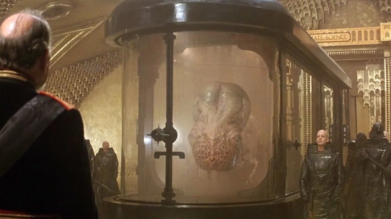 A Guild Navigator in tank