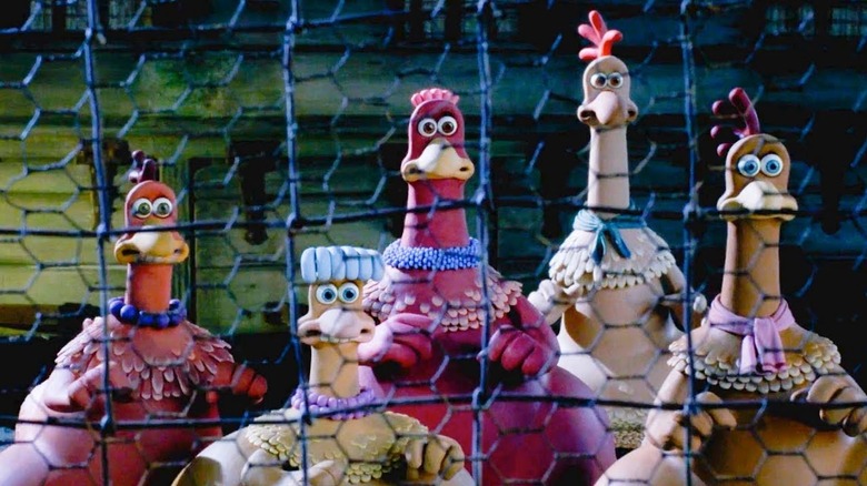 Chickens looking through chicken wire