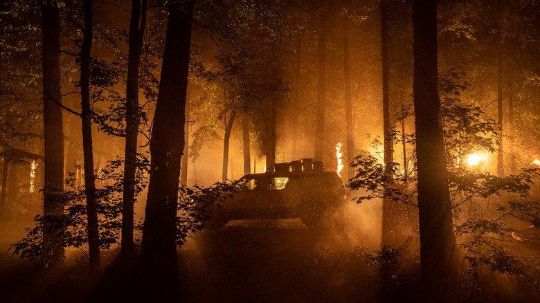 Car driving through forest fire