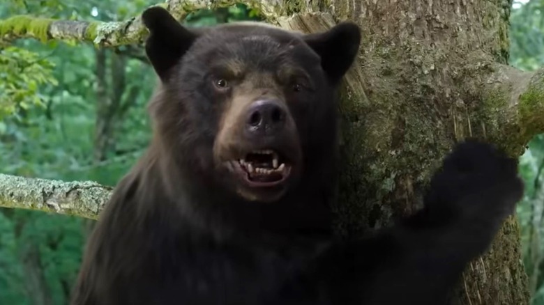 Cocaine Bear climbing tree