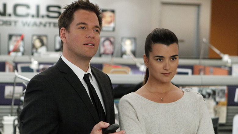 Ziva Tony smirk