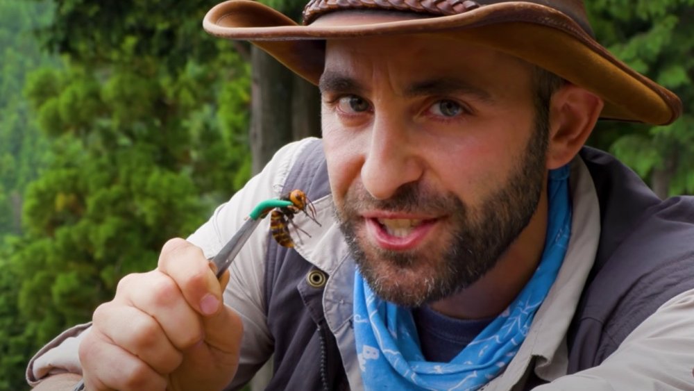 Coyote Peterson with a "murder hornet"