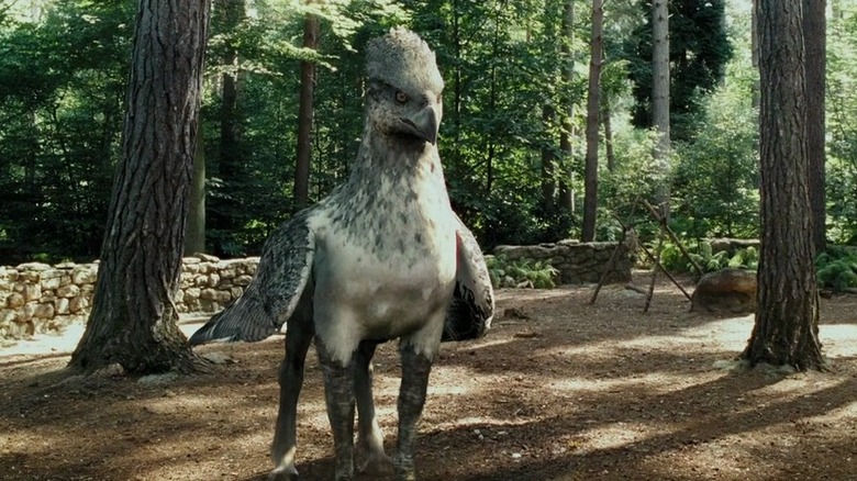 Buckbeak standing