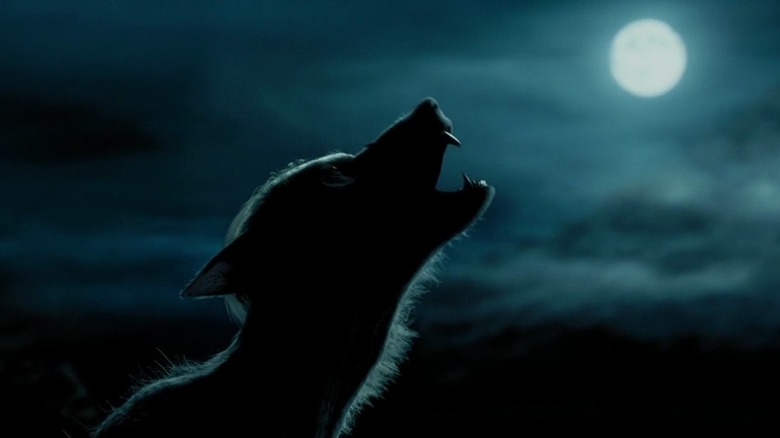 Lupin howling as a werewolf