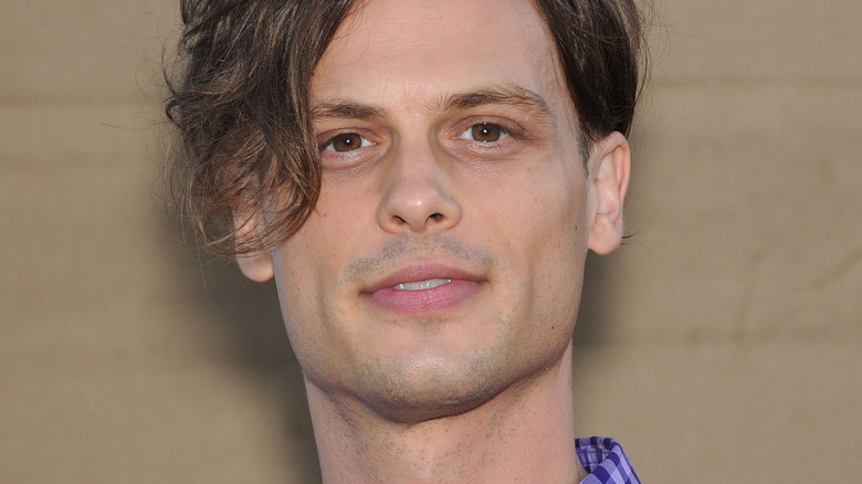 Criminal Minds' Matthew Gray Gubler Has Tried His Hand At Other Forms ...