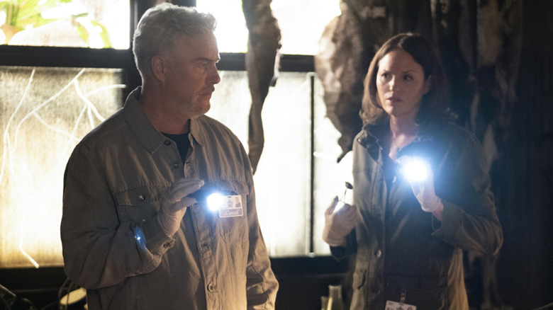 William Petersen and Jorja Fox on CSI: Vegas