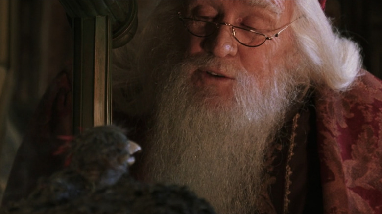 Dumbledore talking to Fawkes