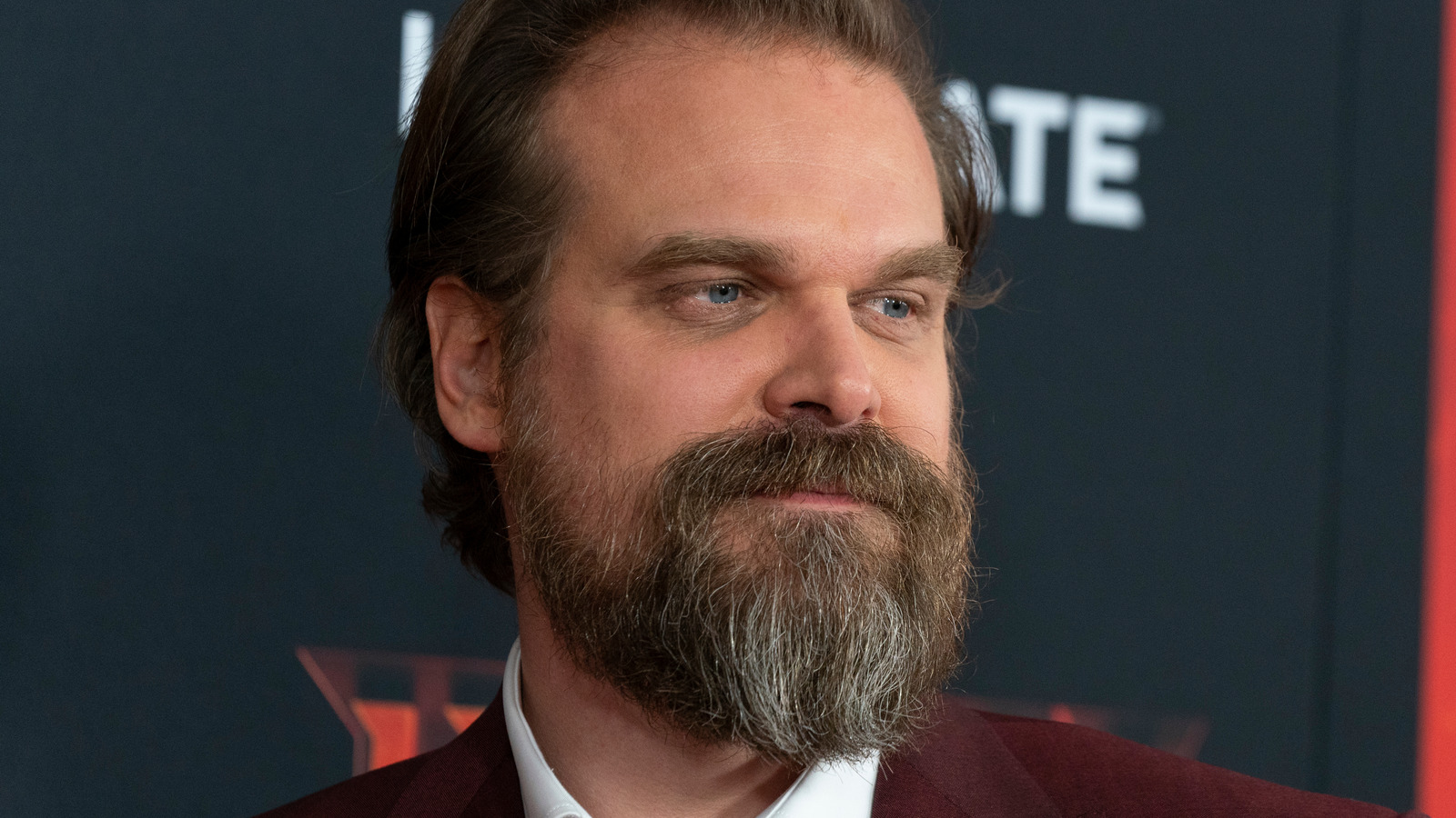 David Harbour Gets Candid About Possible Stranger Things Season 5