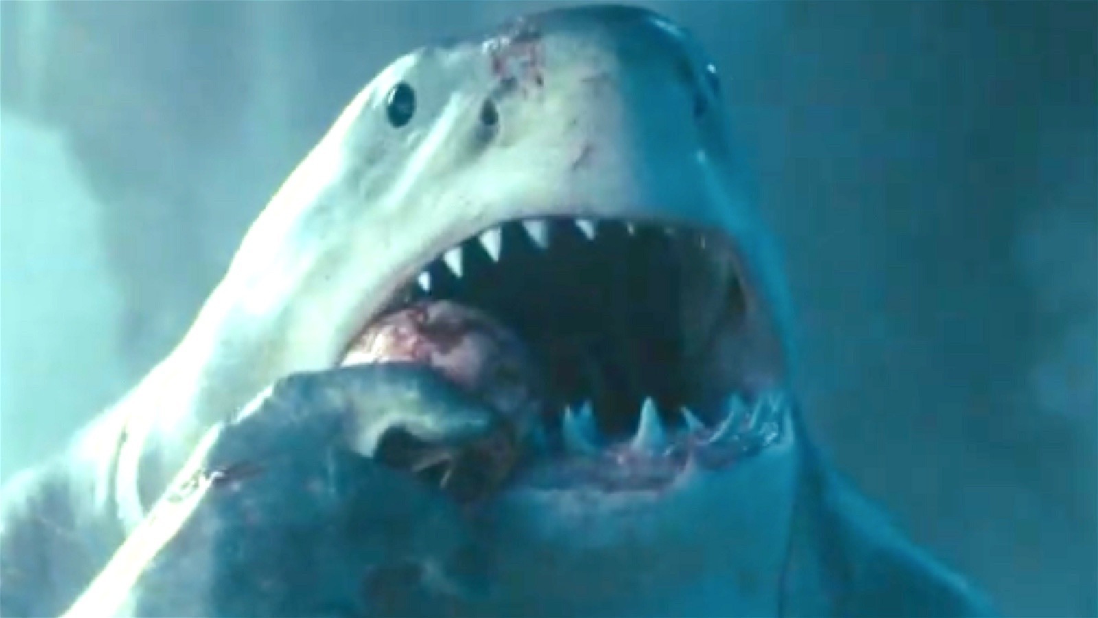 Sylvester Stallone's King Shark Is a Hit With 'Suicide Squad' Fans